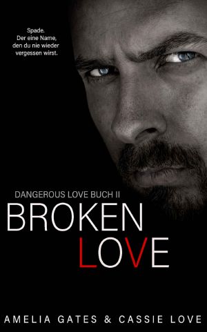 [Dangerous Love 02] • Broken Love